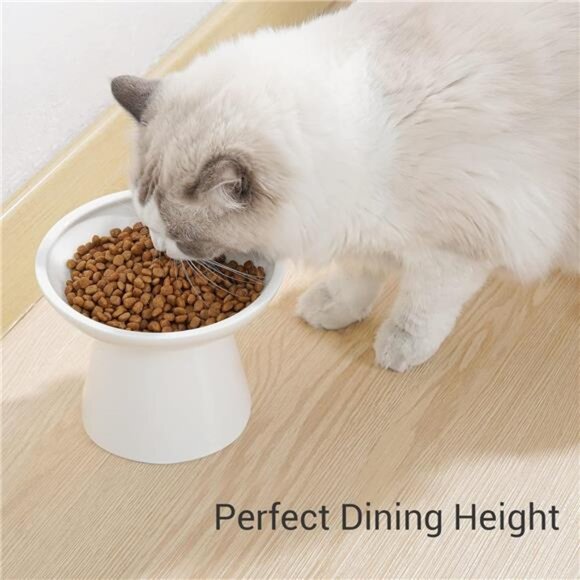 Extra Wide Elevated Ceramic Cat Bowl - 6.2" Shallow Dish for Whisker Fatigue - Picture 2 of 7